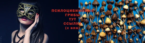 круглые Арсеньев